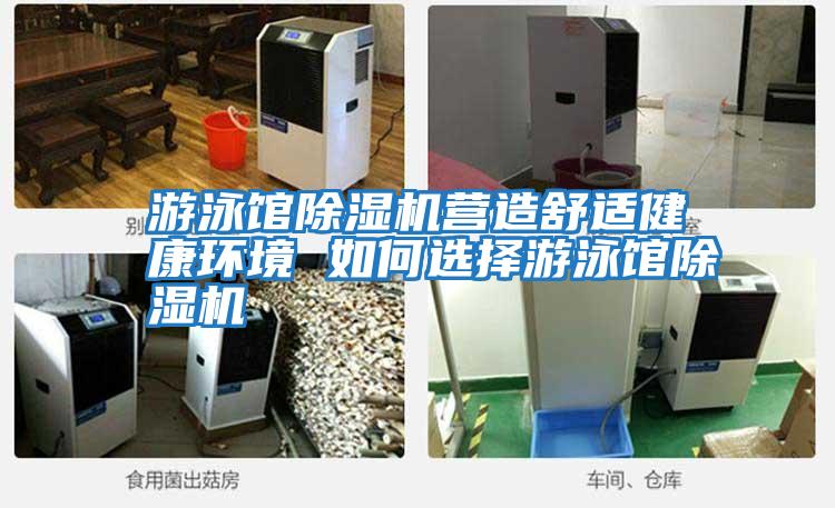 游泳館除濕機營造舒適健康環(huán)境 如何選擇游泳館除濕機