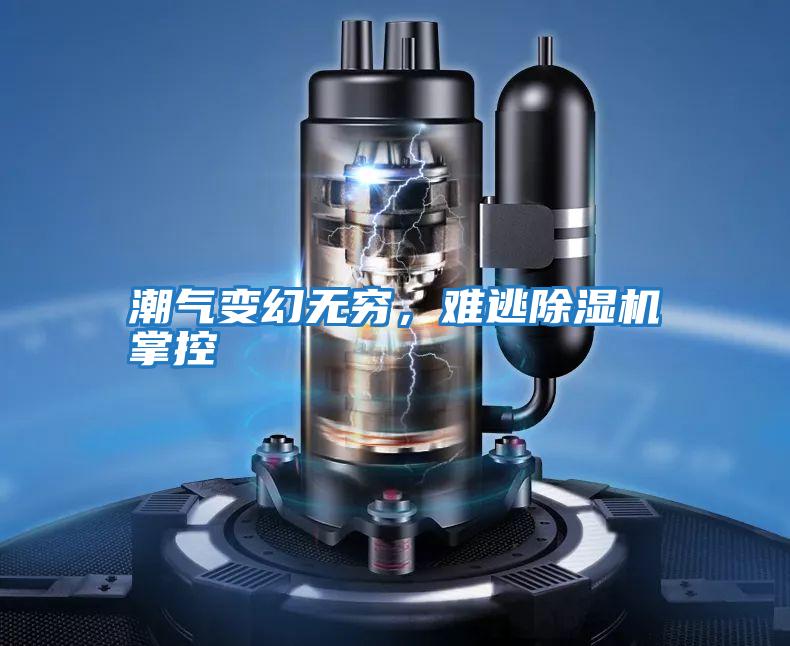 潮氣變幻無窮，難逃除濕機掌控