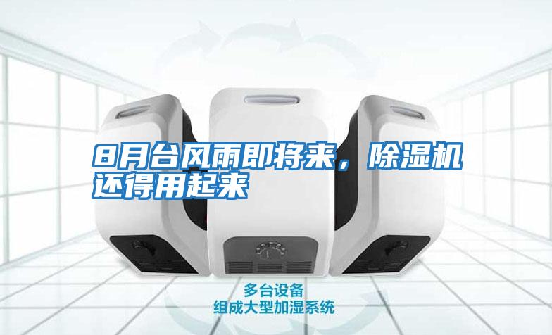 8月臺風雨即將來，除濕機還得用起來