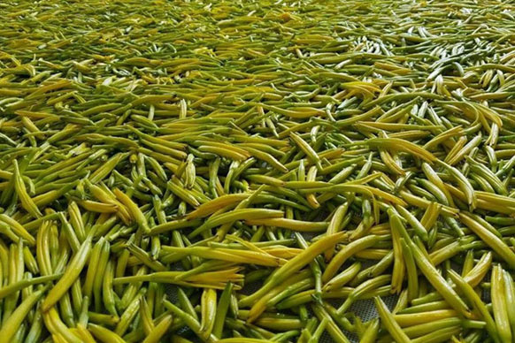 1525656075629649.jpg 2.jpg