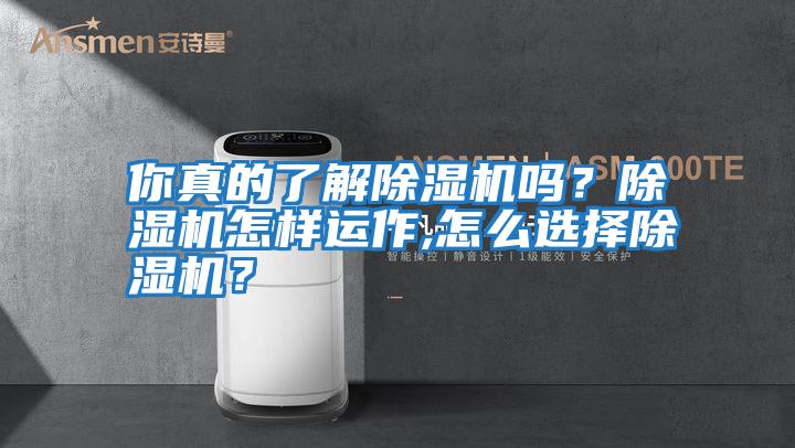 你真的了解除濕機嗎?除濕機怎樣運作,怎么選擇除濕機?