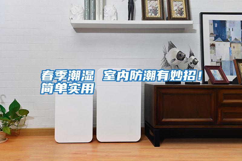 春季潮濕 室內防潮有妙招!簡單實用