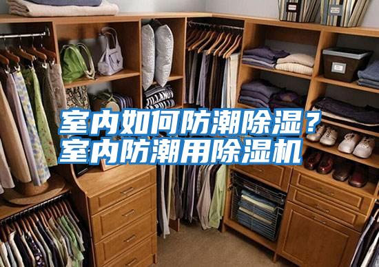 室內(nèi)如何防潮除濕？室內(nèi)防潮用除濕機
