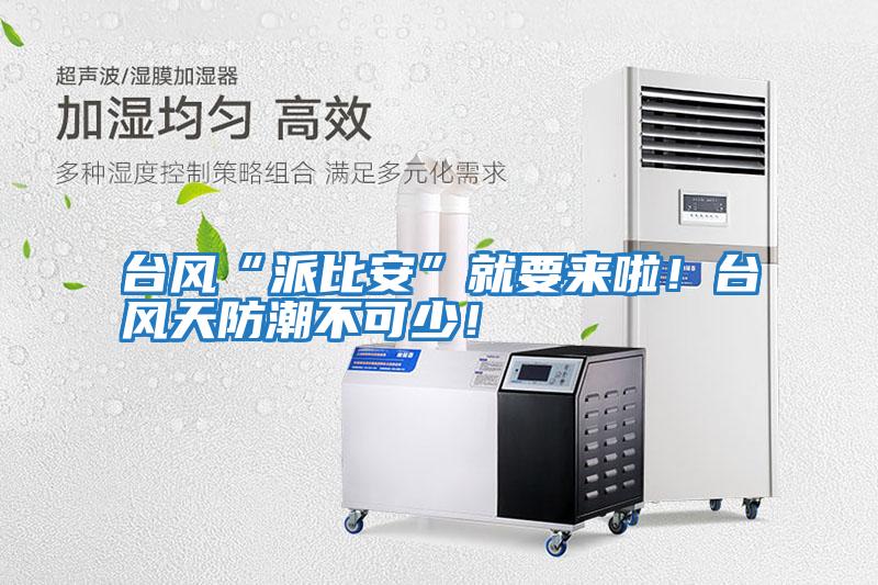 臺風(fēng)“派比安”就要來啦！臺風(fēng)天防潮不可少！