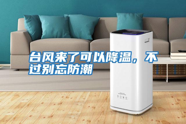 臺風來了可以降溫，不過別忘防潮