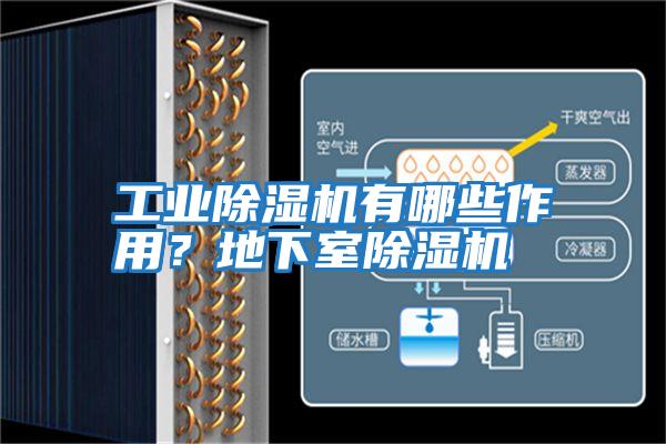 工業(yè)除濕機有哪些作用？地下室除濕機