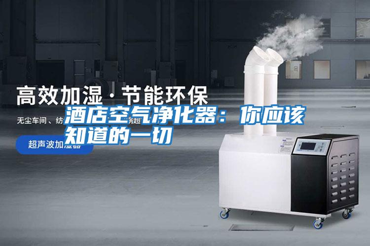 酒店空氣凈化器:你應(yīng)該知道的一切