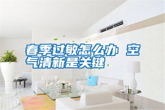 春季過敏怎么辦 空氣清新是關鍵