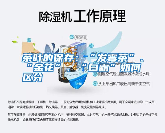 茶葉的保存:“發霉茶”、“金花”、“白霜”如何區分