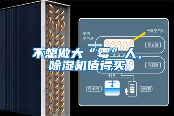 不想做大“霉”人,除濕機值得買