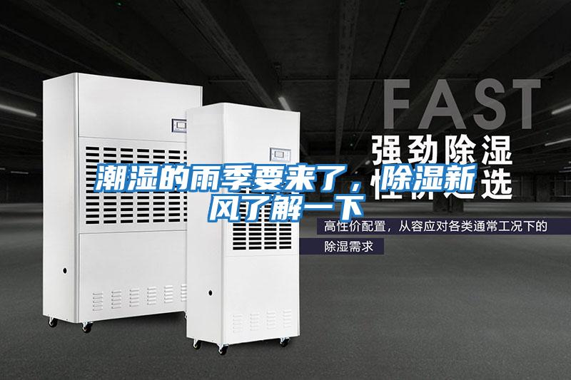 潮濕的雨季要來了，除濕新風了解一下