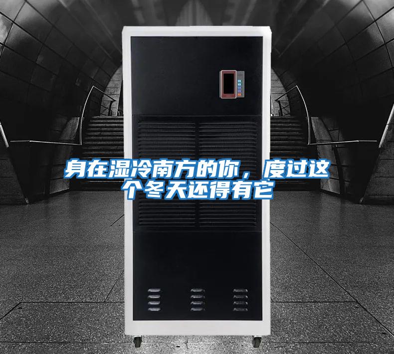 身在濕冷南方的你，度過這個冬天還得有它