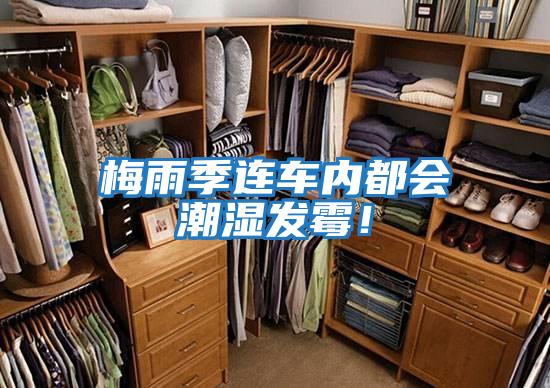 梅雨季連車內(nèi)都會(huì)潮濕發(fā)霉!