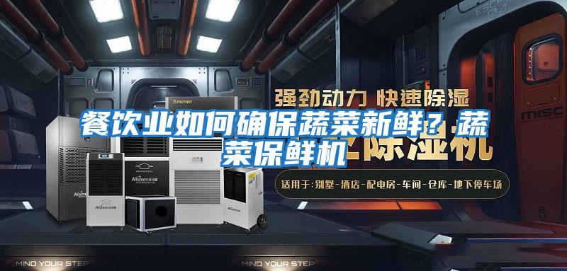 餐飲業(yè)如何確保蔬菜新鮮?蔬菜保鮮機(jī)