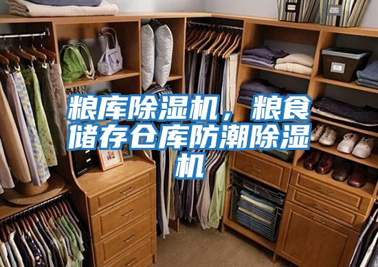 糧庫(kù)除濕機(jī),糧食儲(chǔ)存?zhèn)}庫(kù)防潮除濕機(jī)