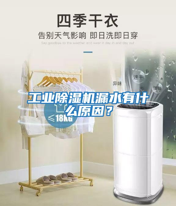 工業除濕機漏水有什么原因？