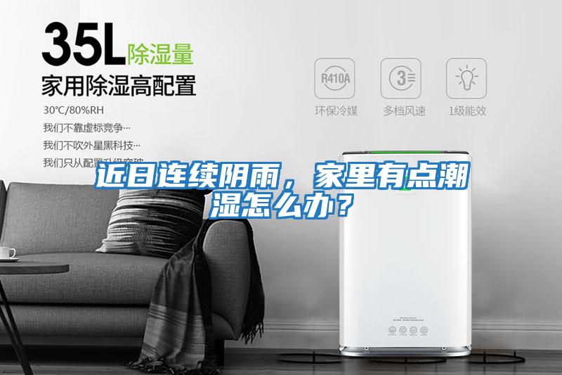 近日連續(xù)陰雨,家里有點(diǎn)潮濕怎么辦?