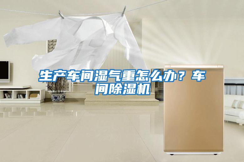 生產(chǎn)車間濕氣重怎么辦？車間除濕機