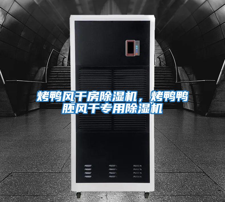 烤鴨風(fēng)干房除濕機(jī),烤鴨鴨胚風(fēng)干專用除濕機(jī)