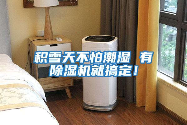 積雪天不怕潮濕 有除濕機(jī)就搞定!