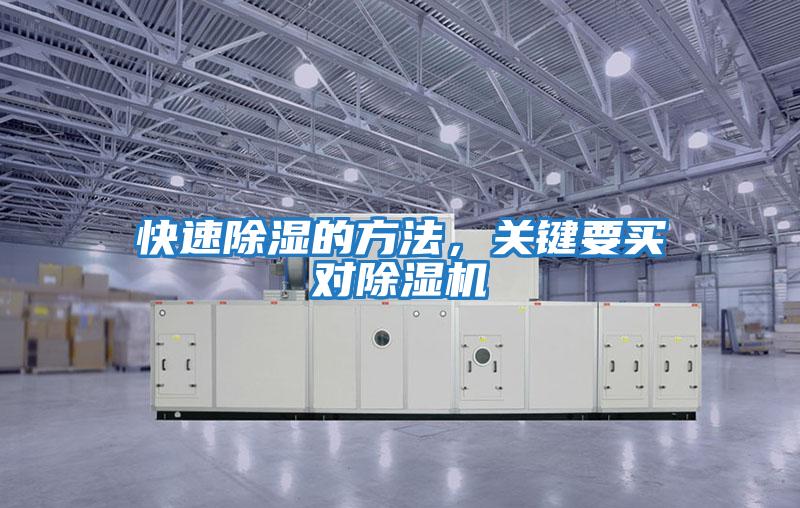 快速除濕的方法,關(guān)鍵要買(mǎi)對(duì)除濕機(jī)