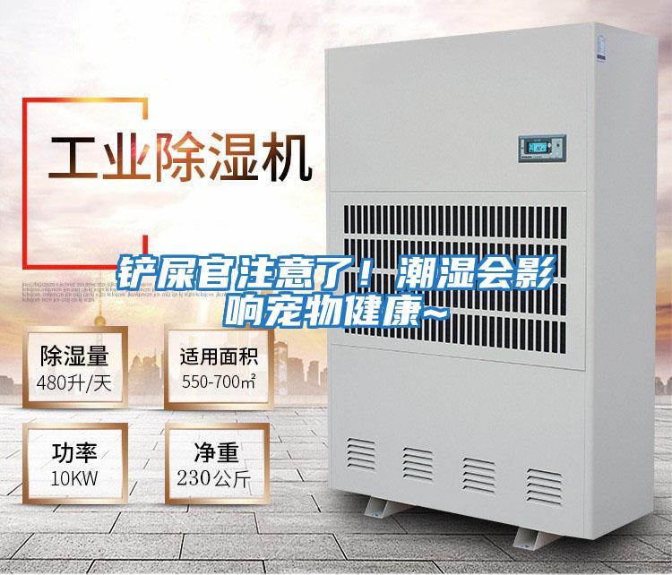 鏟屎官注意了!潮濕會(huì)影響寵物健康~