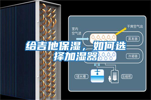 給吉他保濕，如何選擇加濕器