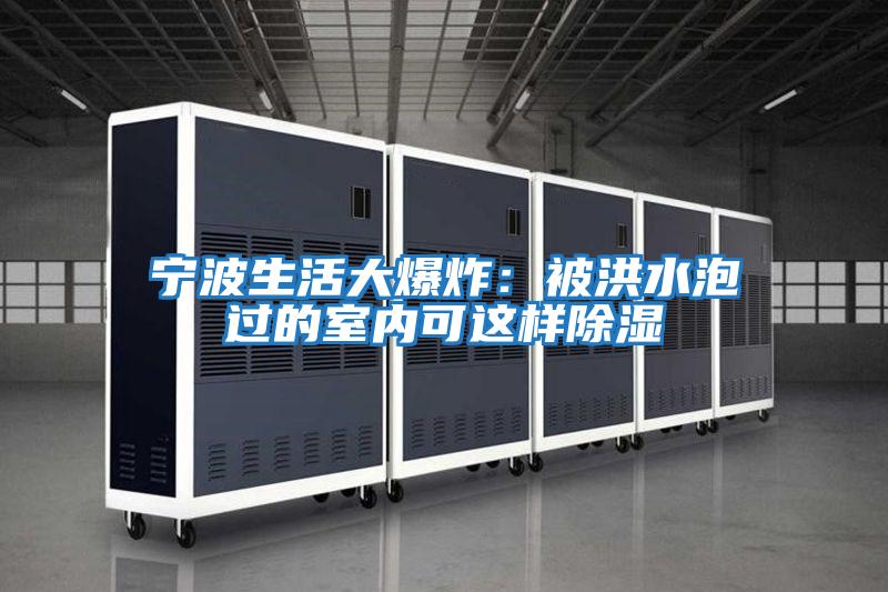 寧波生活大爆炸:被洪水泡過的室內(nèi)可這樣除濕