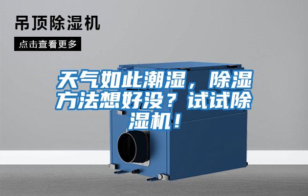 天氣如此潮濕，除濕方法想好沒？試試除濕機！