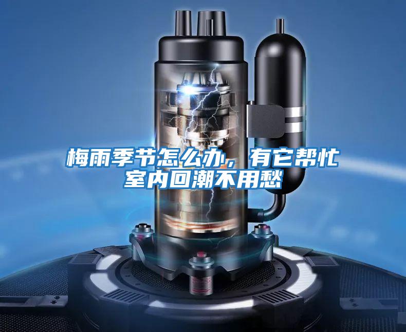 梅雨季節怎么辦，有它幫忙室內回潮不用愁