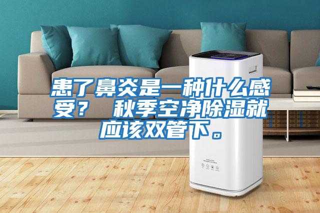 患了鼻炎是一種什么感受？ 秋季空凈除濕就應該雙管下。