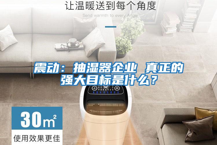 震動(dòng)：抽濕器企業(yè) 真正的強(qiáng)大目標(biāo)是什么？