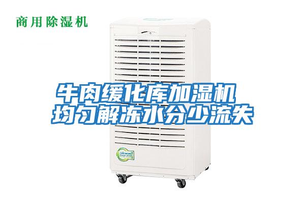牛肉緩化庫(kù)加濕機(jī) 均勻解凍水分少流失