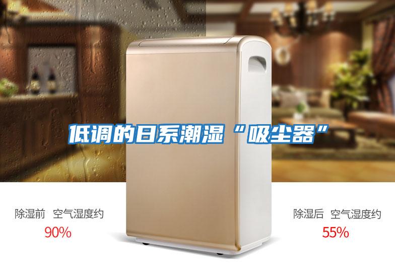 低調(diào)的日系潮濕“吸塵器”