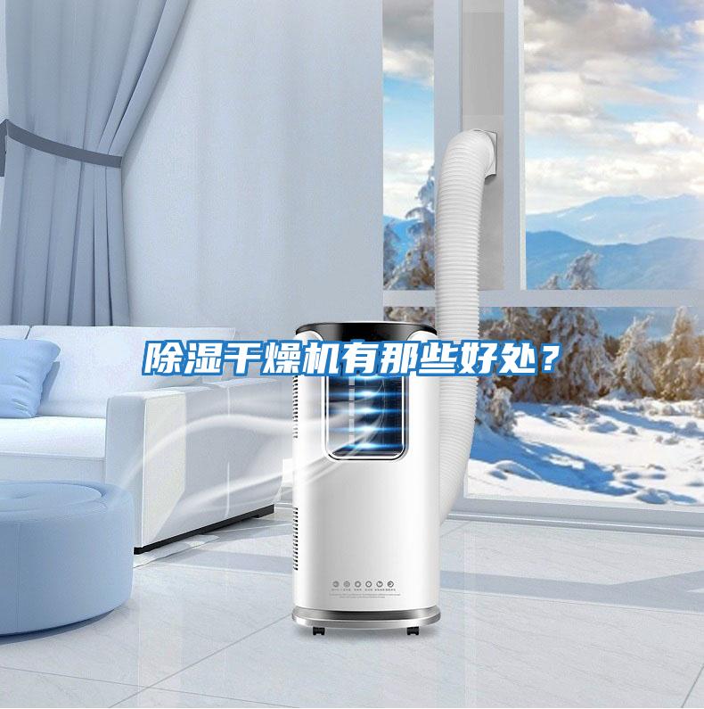 除濕干燥機有那些好處？