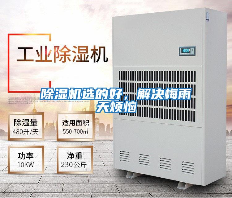 除濕機選的好，解決梅雨天煩惱