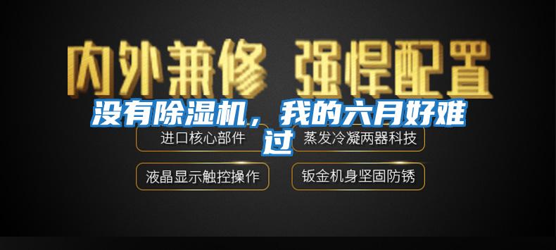 沒有除濕機，我的六月好難過