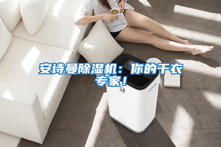安詩(shī)曼除濕機(jī)：你的干衣專(zhuān)家！