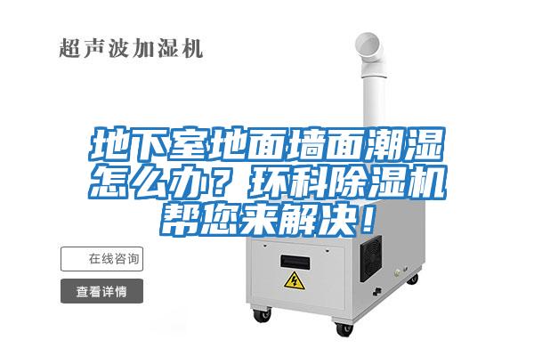 地下室地面墻面潮濕怎么辦？環(huán)科除濕機幫您來解決！