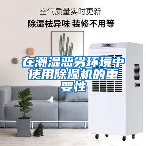 在潮濕惡劣環境中使用除濕機的重要性