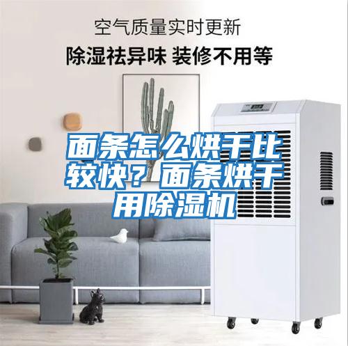 面條怎么烘干比較快？面條烘干用除濕機