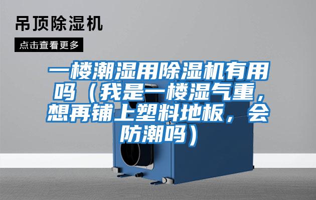一樓潮濕用除濕機有用嗎（我是一樓濕氣重，想再鋪上塑料地板，會防潮嗎）