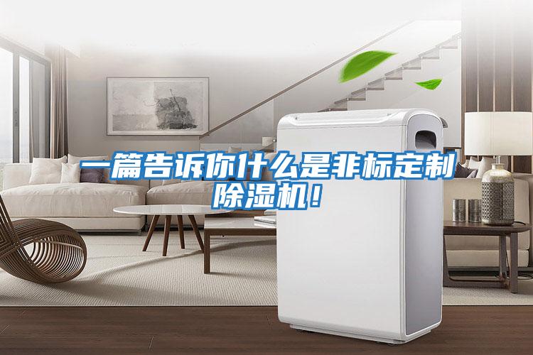 一篇告訴你什么是非標定制除濕機！