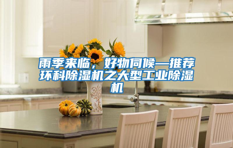 雨季來臨,好物伺候—推薦環(huán)科除濕機之大型工業(yè)除濕機