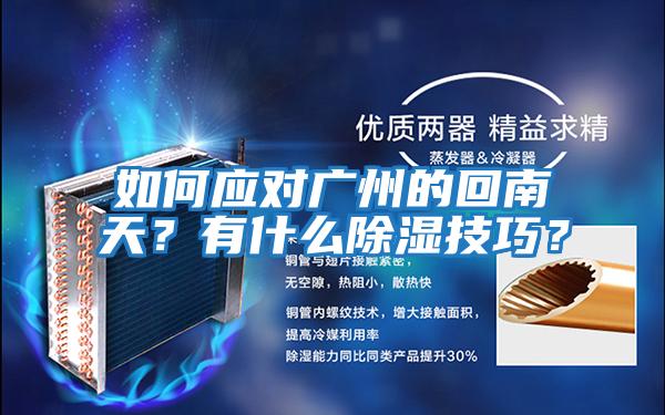 如何應對廣州的回南天？有什么除濕技巧？