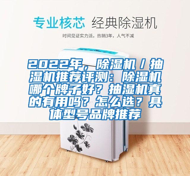 2022年，除濕機(jī)／抽濕機(jī)推薦評(píng)測(cè)：除濕機(jī)哪個(gè)牌子好？抽濕機(jī)真的有用嗎？怎么選？具體型號(hào)品牌推薦