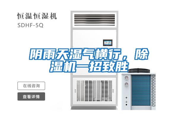 陰雨天濕氣橫行,除濕機一招致勝