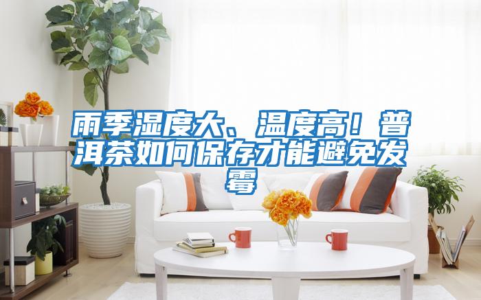 雨季濕度大、溫度高!普洱茶如何保存才能避免發霉