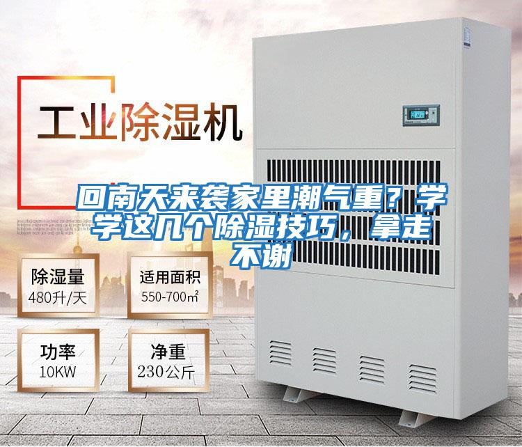 回南天來襲家里潮氣重？學學這幾個除濕技巧，拿走不謝