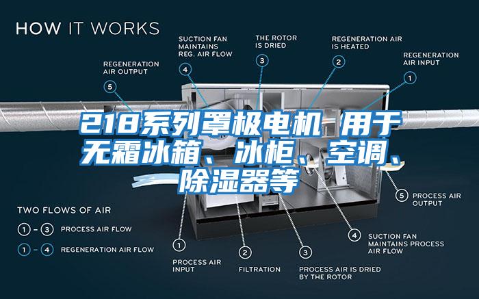 218系列罩極電機(jī) 用于無(wú)霜冰箱、冰柜、空調(diào)、除濕器等